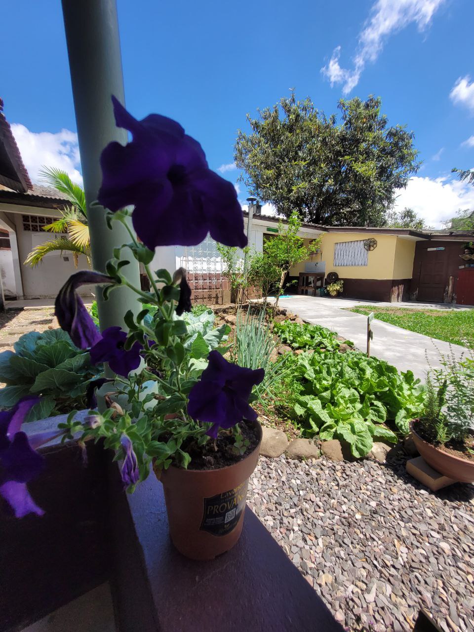 Quartos Compartilhados - Vista 3